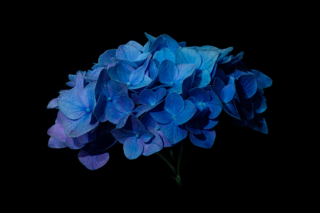 De bijzondere wereld van de blauwe aura: wat deze kleur vertelt over jou